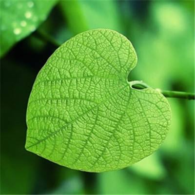 天天中彩票手机版登录